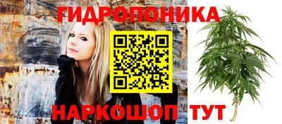 ПСИЛОЦИБИНОВЫЕ ГРИБЫ Балахна