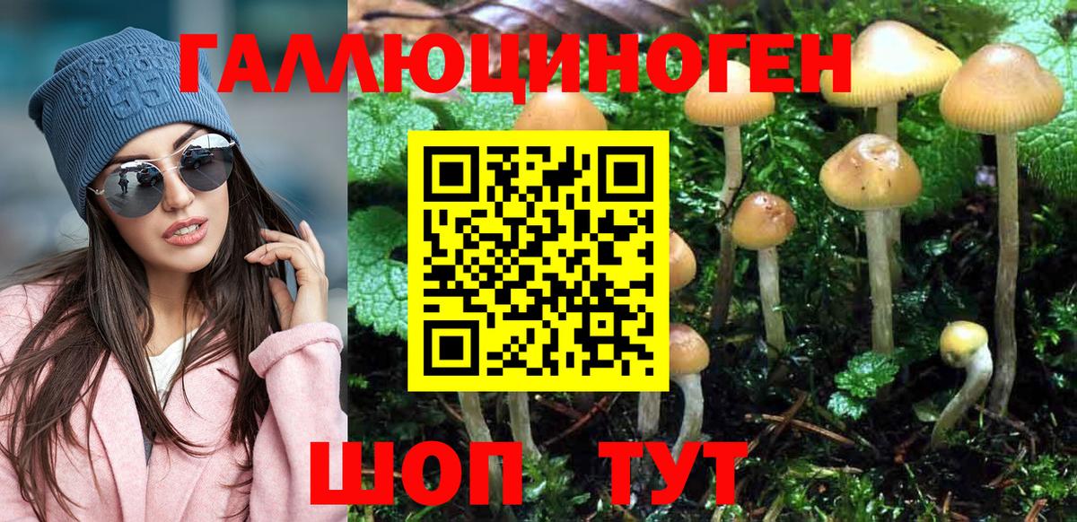 Десногорск  Галлюциногенные грибы Psilocybine cubensis  Вход с VPN 